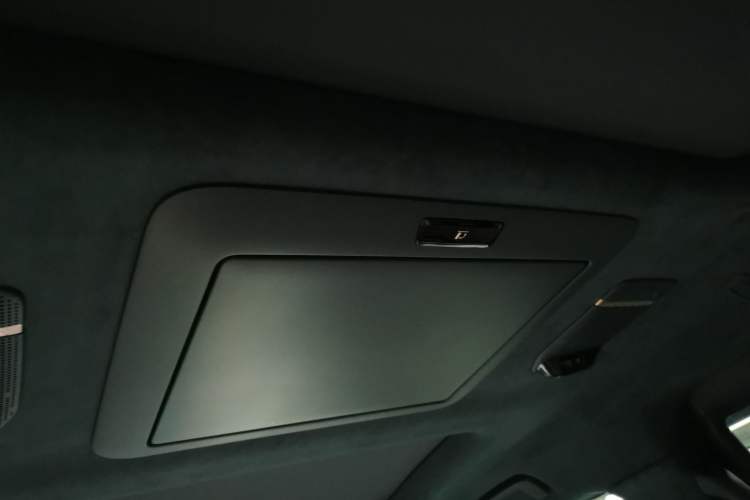 Used Zeekr 009 2022 WE Edition Headliner