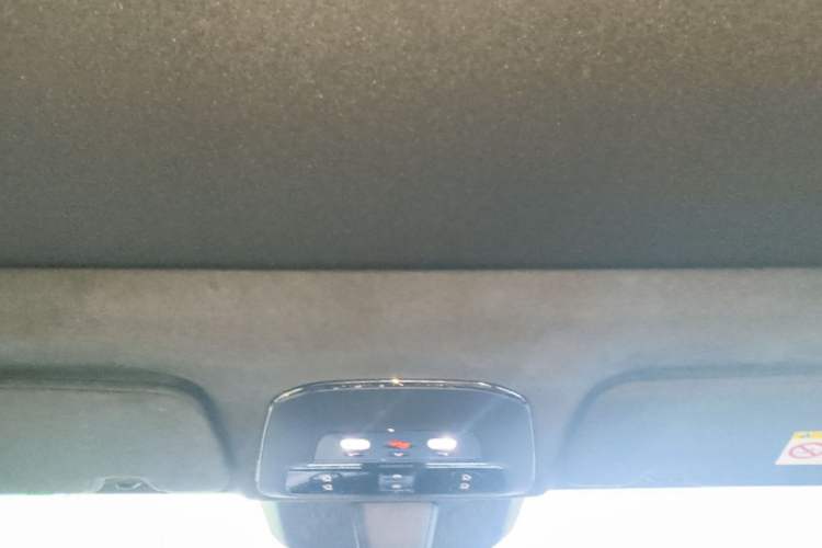 Used Zeekr 009 2022 WE Edition Headliner