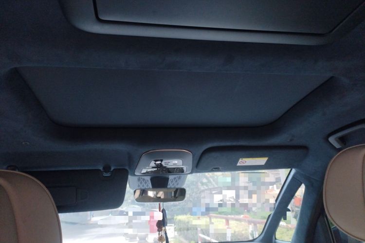 Used Zeekr 009 2022 WE Edition Headliner