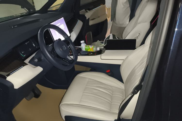 Used Zeekr 009 2022 WE Edition Left Front Seat
