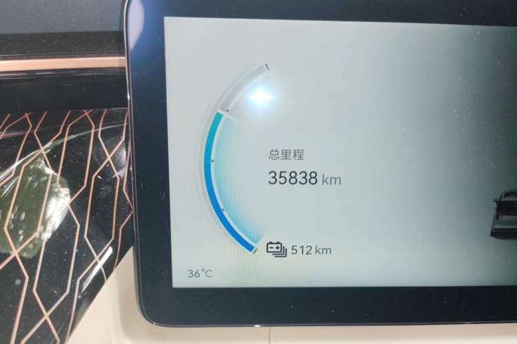 Used Zeekr 009 2022 WE Edition Odometer Close Up