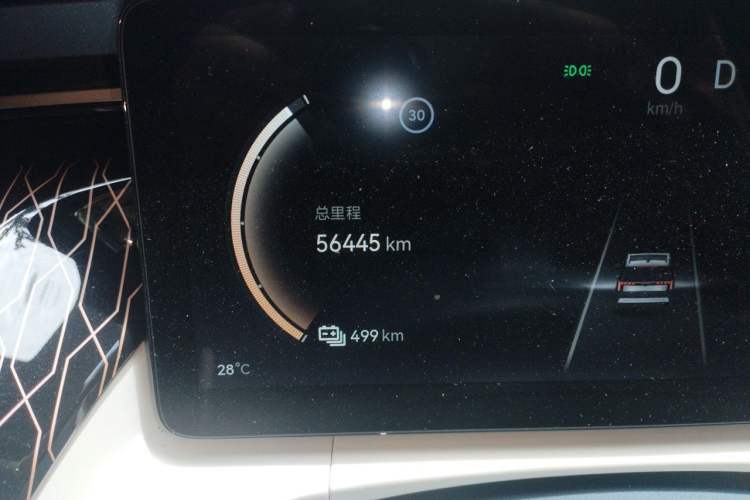 Used Zeekr 009 2022 WE Edition Odometer Close Up