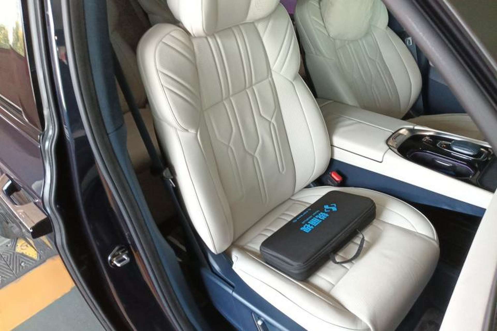 Used Zeekr 009 2022 WE Edition Right Front Seat
