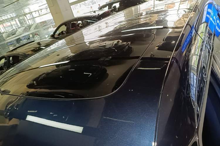 Used Zeekr 009 2022 WE Edition Roof