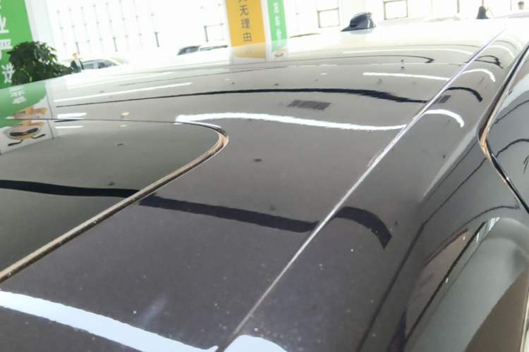 Used Zeekr 009 2022 WE Edition Roof