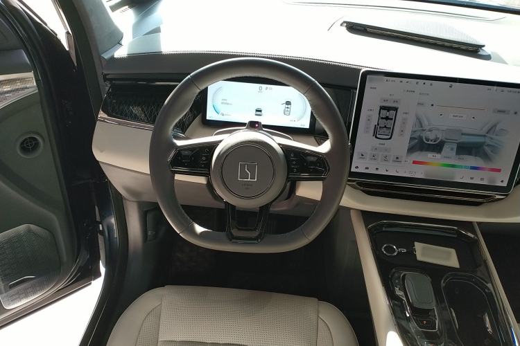 Used Zeekr 009 2022 WE Edition Steering Wheel
