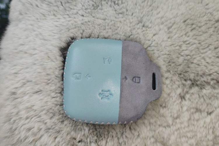 Used Zeekr 009 2022 WE Edition Vehicle Key