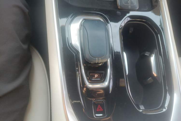 Used Zeekr 009 2022 WE Edition Gear Lever
