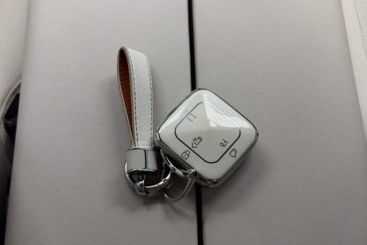 Used Zeekr 009 2022 WE Edition Interior 1