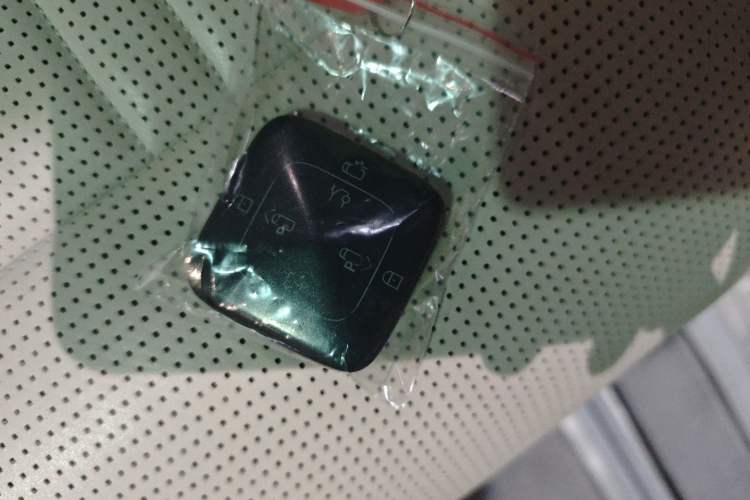 Used Zeekr 009 2022 WE Edition Vehicle Key
