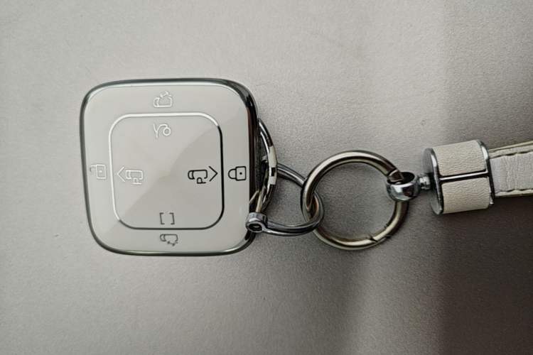 Used Zeekr 009 2022 WE Edition Vehicle Key