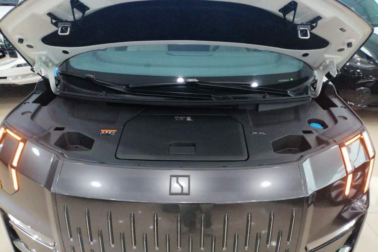 Used Zeekr 009 2022 WE Edition Engine Bay