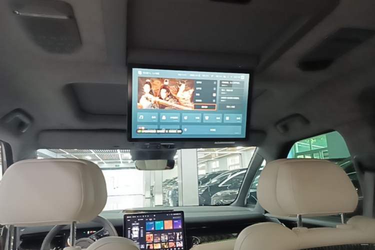 Used Zeekr 009 2022 WE Edition Headliner