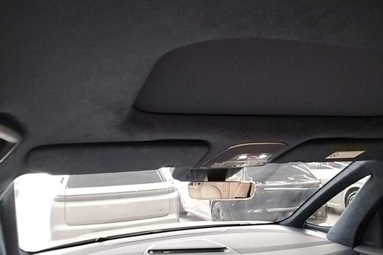 Used Zeekr 009 2022 WE Edition Headliner