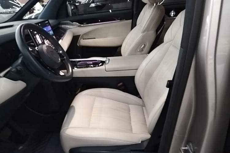 Used Zeekr 009 2022 WE Edition Left Front Seat