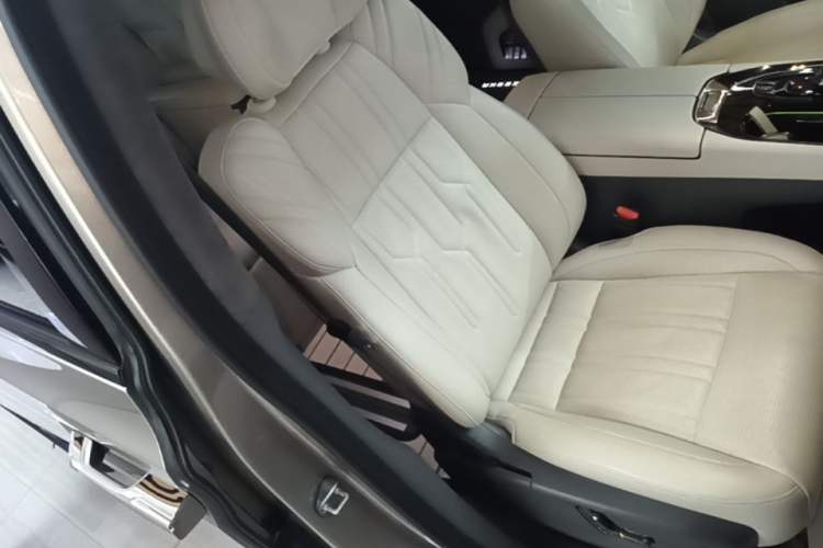 Used Zeekr 009 2022 WE Edition Right Front Seat
