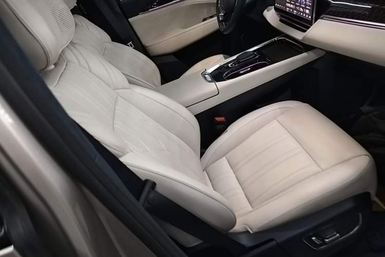 Used Zeekr 009 2022 WE Edition Right Front Seat
