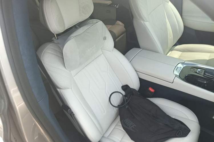 Used Zeekr 009 2022 WE Edition Right Front Seat