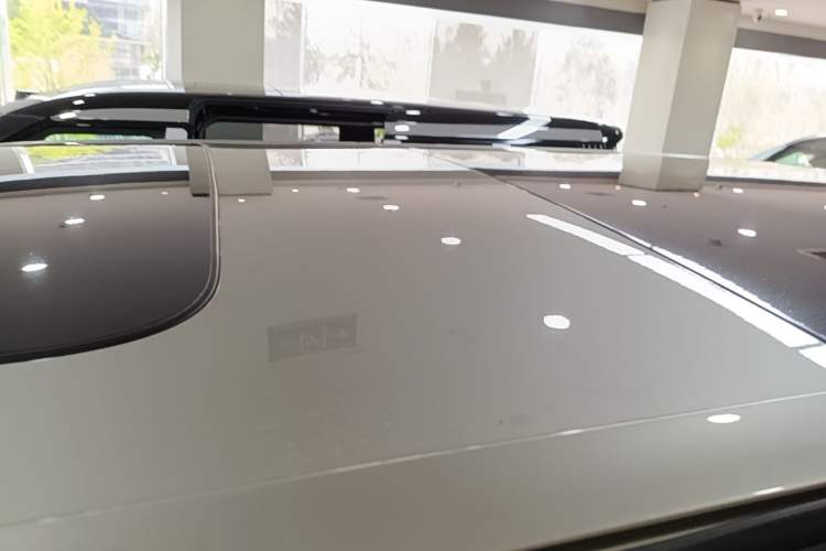 Used Zeekr 009 2022 ME Edition Roof