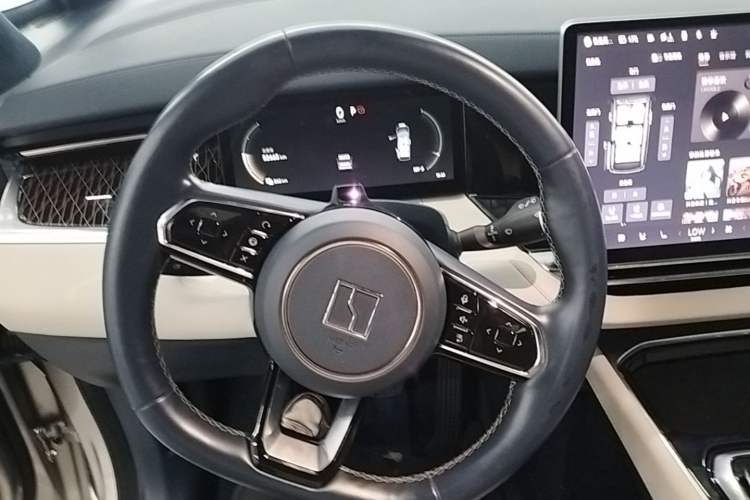 Used Zeekr 009 2022 WE Edition Steering Wheel