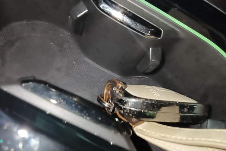 Used Zeekr 009 2022 WE Edition Vehicle Key