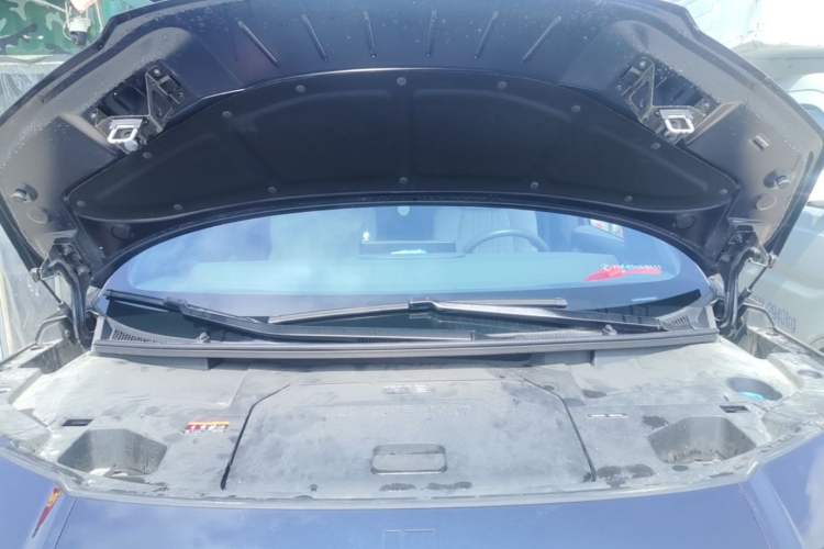 Used Zeekr 009 2022 WE Edition Engine Bay