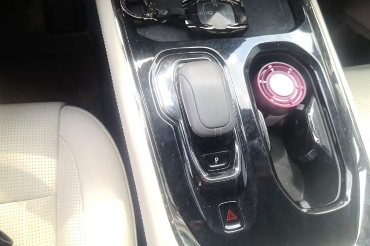 Used Zeekr 009 2022 WE Edition Gear Lever