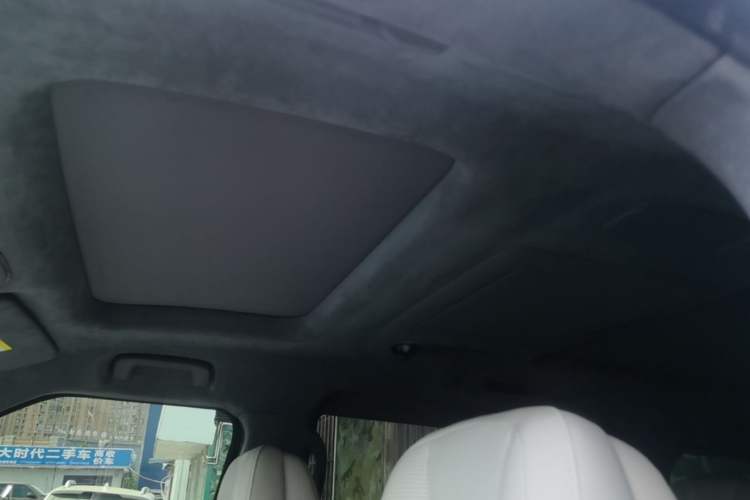 Used Zeekr 009 2022 WE Edition Headliner