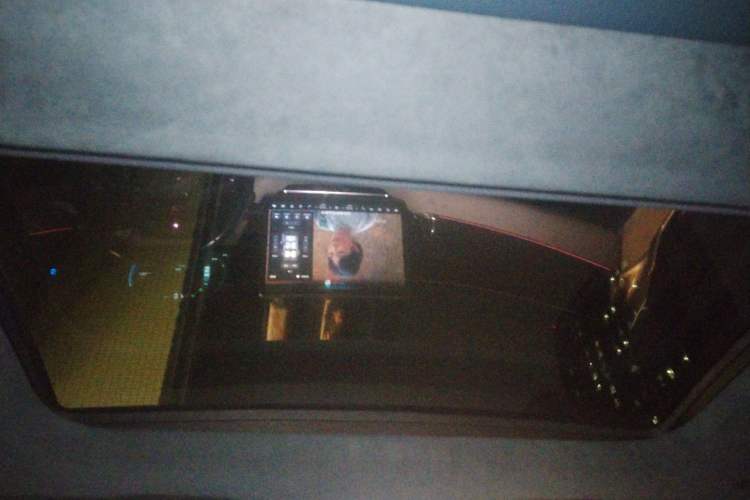 Used Zeekr 009 2022 WE Edition Headliner