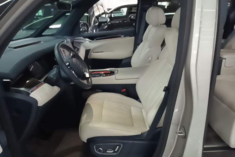 Used Zeekr 009 2022 WE Edition Left Front Seat