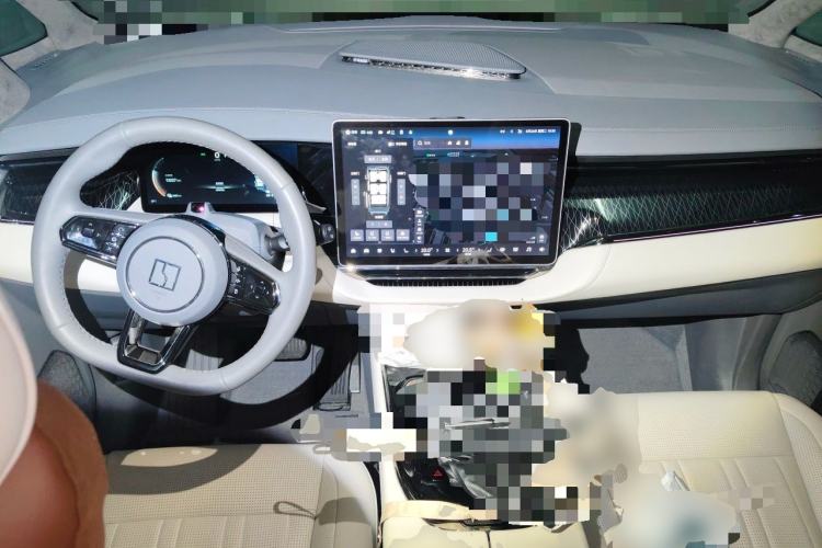 Used Zeekr 009 2022 WE Edition Center Console
