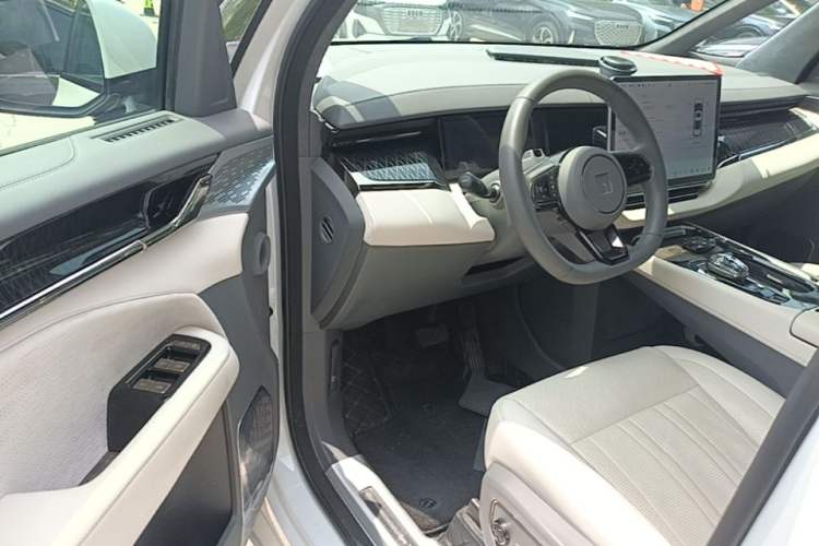 Used Zeekr 009 2022 WE Edition Driver Seat