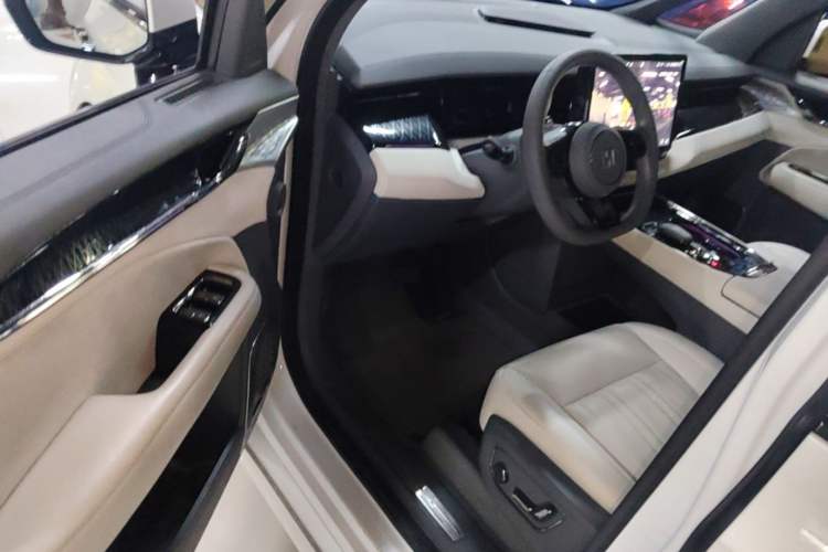 Used Zeekr 009 2022 WE Edition Driver Seat