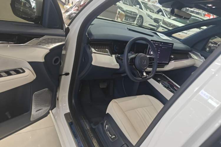 Used Zeekr 009 2022 WE Edition Driver Seat