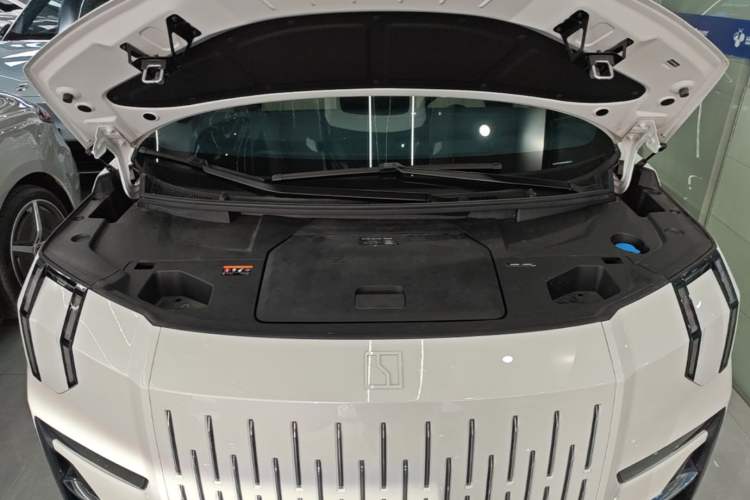 Used Zeekr 009 2022 WE Edition Engine Bay