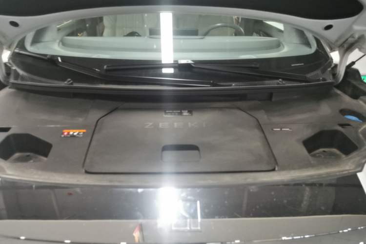 Used Zeekr 009 2022 WE Edition Engine Bay