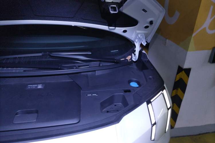 Used Zeekr 009 2022 WE Edition Engine Bay Left