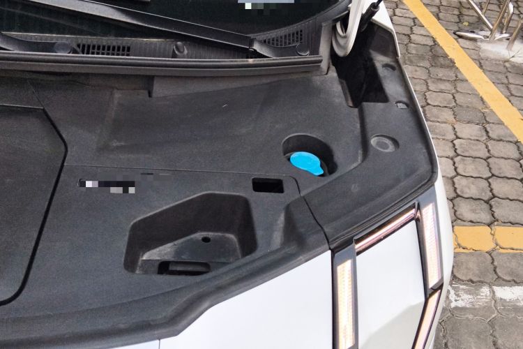 Used Zeekr 009 2022 WE Edition Engine Bay Left