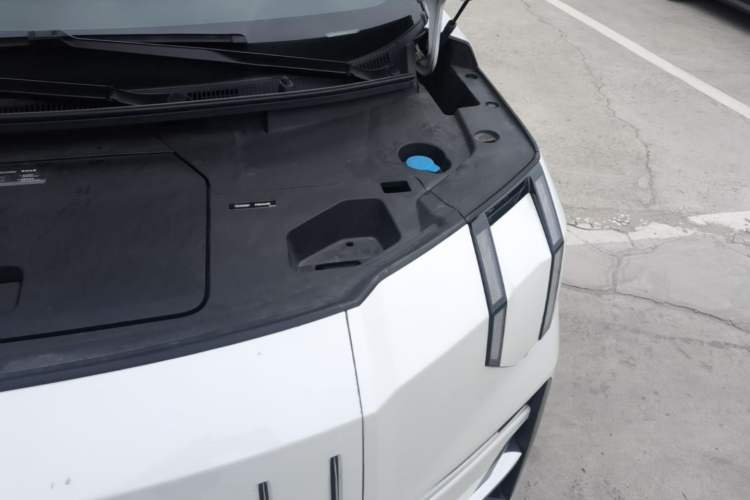 Used Zeekr 009 2022 WE Edition Engine Bay Left