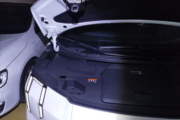 Used Zeekr 009 2022 WE Edition Engine Bay Right