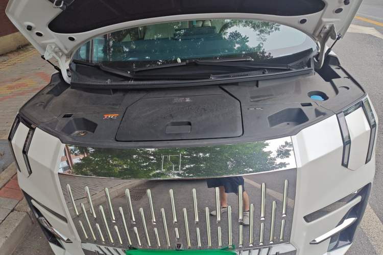 Used Zeekr 009 2022 WE Edition Engine Bay