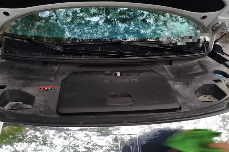 Used Zeekr 009 2022 WE Edition Engine Bay