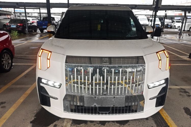 Used Zeekr 009 2022 WE Edition Front