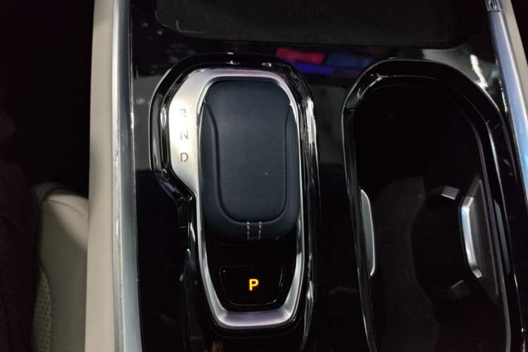 Used Zeekr 009 2022 WE Edition Gear Lever
