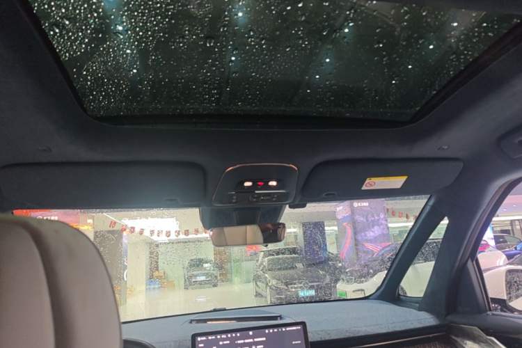Used Zeekr 009 2022 WE Edition Headliner