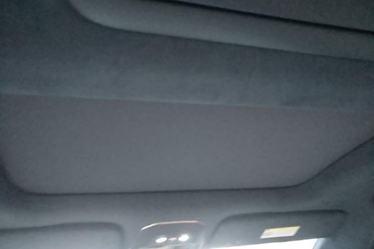 Used Zeekr 009 2022 WE Edition Headliner