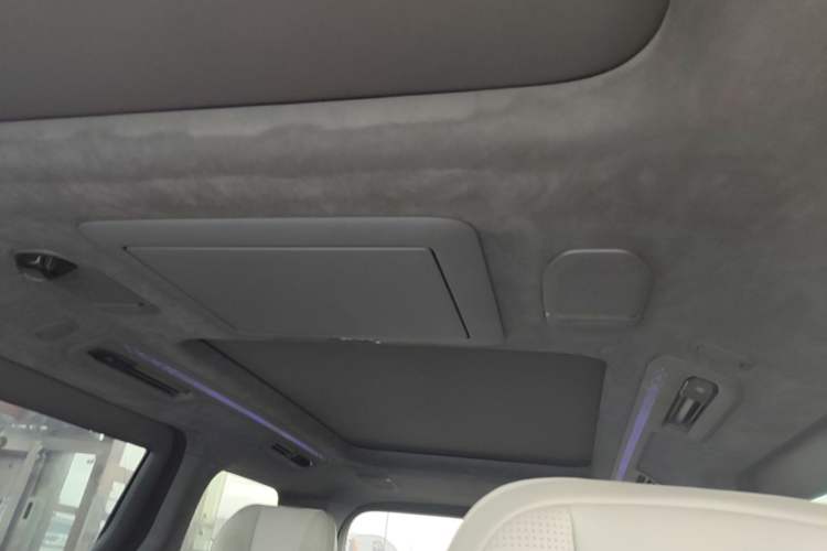 Used Zeekr 009 2022 WE Edition Headliner