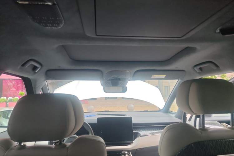 Used Zeekr 009 2022 WE Edition Headliner