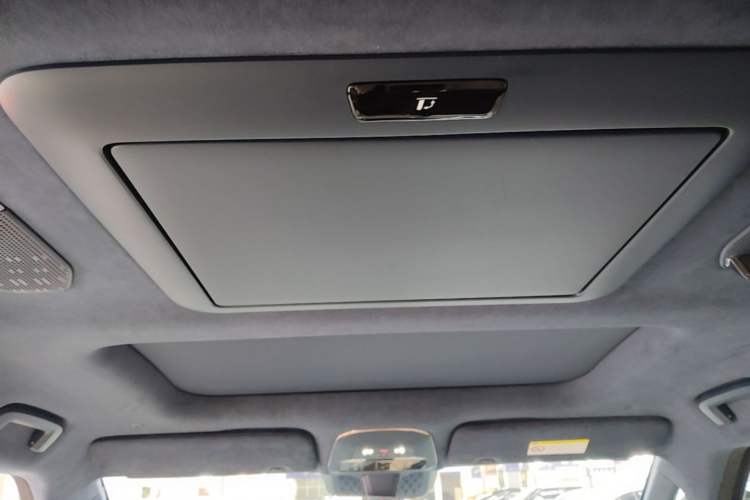 Used Zeekr 009 2022 WE Edition Headliner