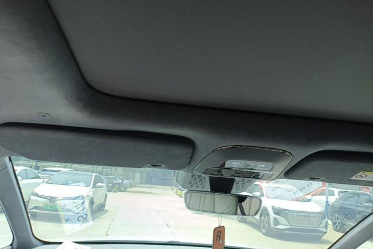 Used Zeekr 009 2022 WE Edition Headliner
